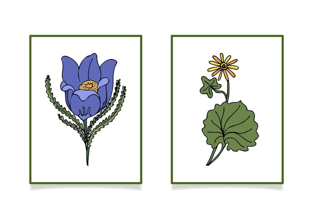 Ilustración de vector de flores silvestres Sleepgrass y chistyak de primavera Dibujo a mano alzada