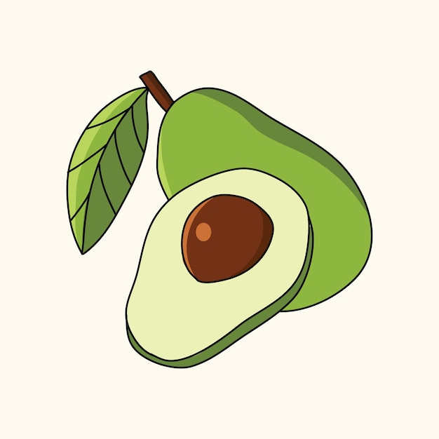 Vector ilustración de vector de fruta de aguacate