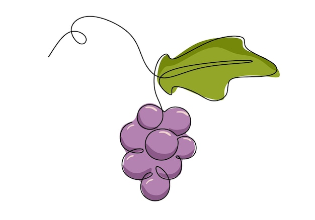 Ilustración de vector de fruta de dibujo de una línea continua de uvas