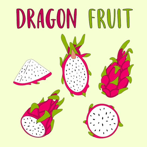 Ilustración de vector de fruta del dragón entero y en rodajas.
