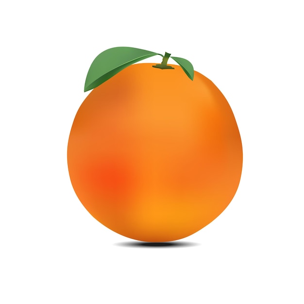 Ilustración de vector de fruta naranja vegetal estilo realista moderno naranja aislado