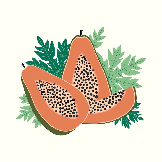 Vector ilustración de vector de fruta de papaya