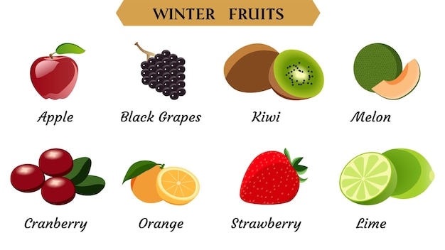 Ilustración de vector de frutas de invierno Ilustración de vector de frutas simples