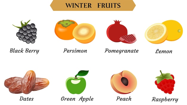 Ilustración de vector de frutas de invierno Ilustración de vector de frutas simples