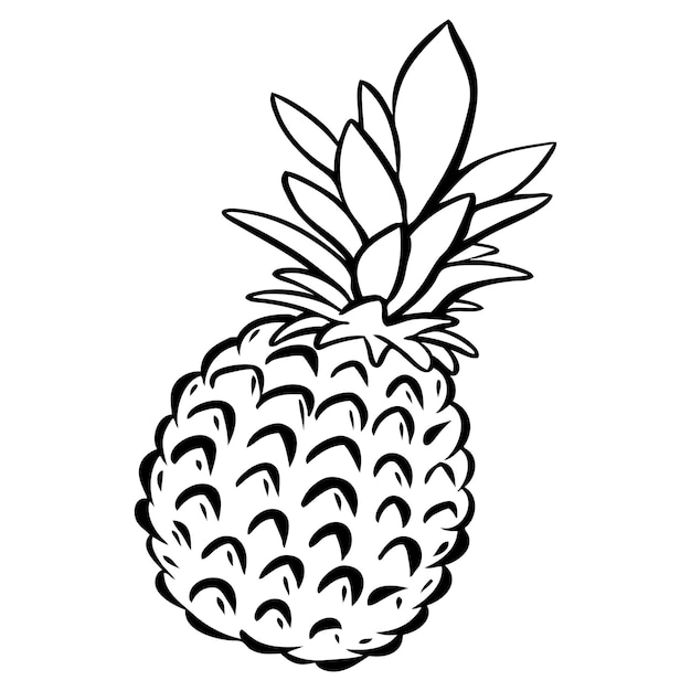 Ilustración de vector de frutas de piña