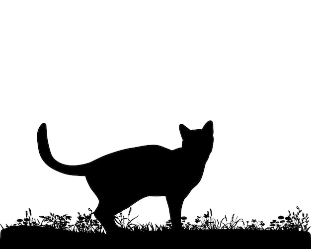 Ilustración, vector, gato silueta sobre la hierba