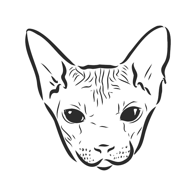 Ilustración de vector de un gato sphynx con un trazador de líneas aislado en un fondo blanco