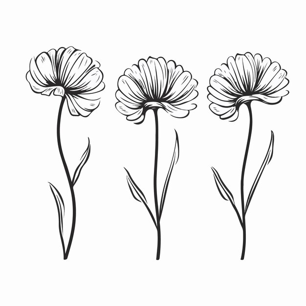 Ilustración de vector de gerbera contemporánea para uso versátil