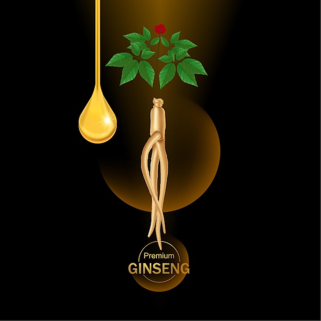 Ilustración de vector de ginseng premium