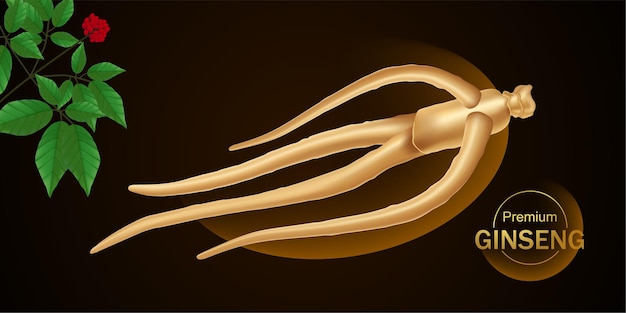 Ilustración de vector de ginseng premium