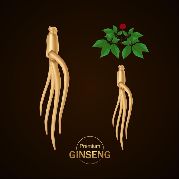 Ilustración de vector de ginseng premium