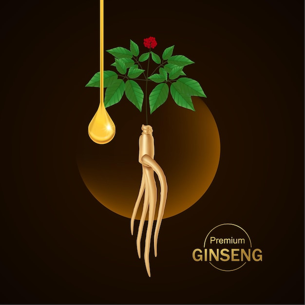 Ilustración de vector de ginseng premium