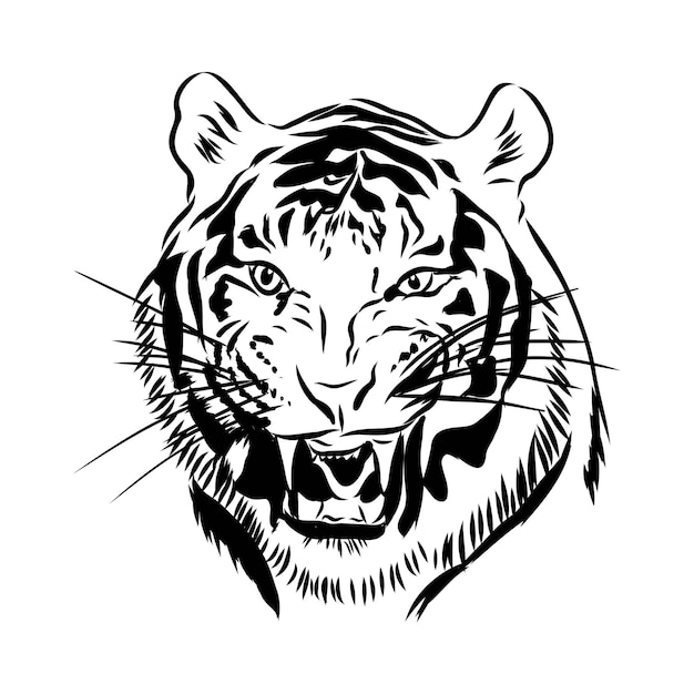 Ilustración de vector de grabado de cabeza de tigre, dibujado a mano, boceto