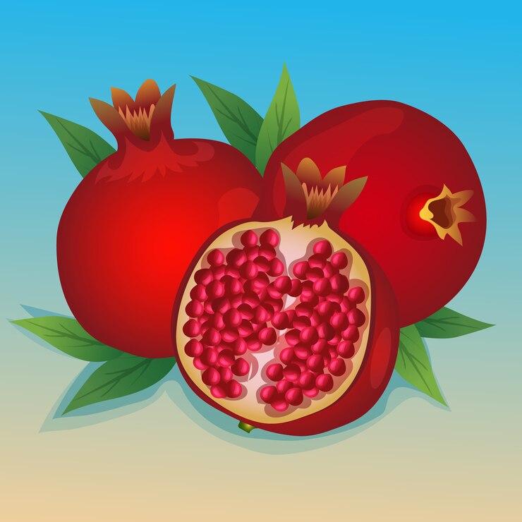 Ilustración de vector de Granada