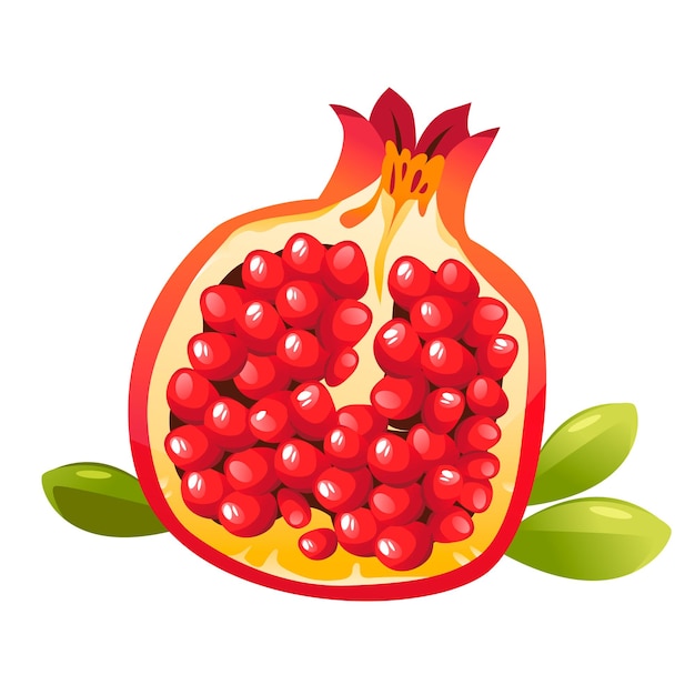 Ilustración de vector de granate sobre un fondo blanco Fruta madura