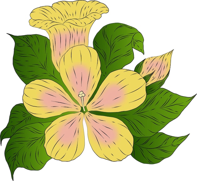 Ilustración de vector de hibisco amarillo