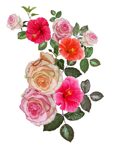 Ilustración de vector de hibisco y rosa