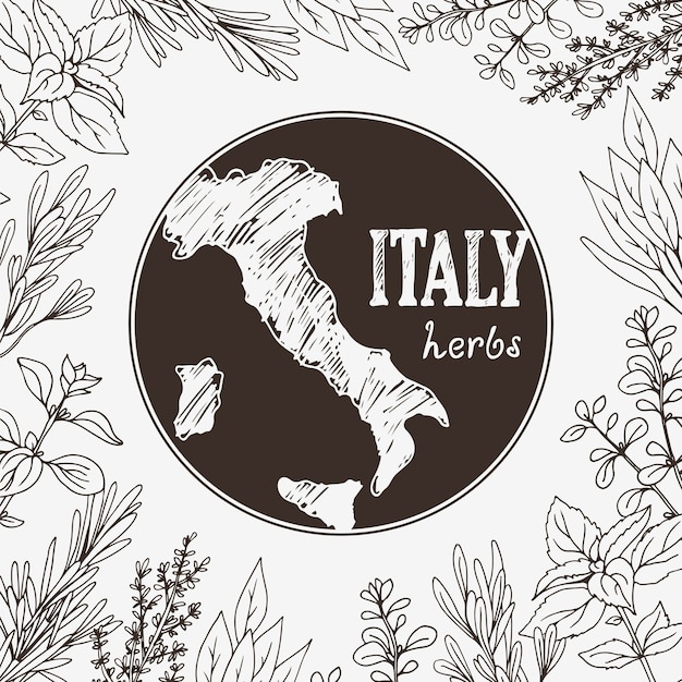 Vector ilustración de vector con hierbas culinarias italianas