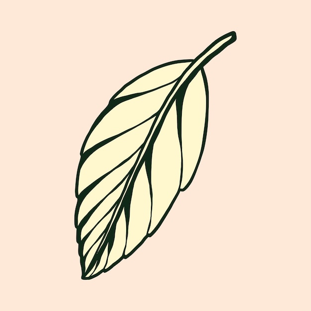 Vector ilustración de vector de hoja de otoño