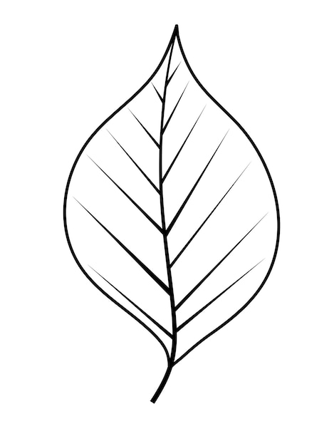 Ilustración de vector de hoja simple EPS10
