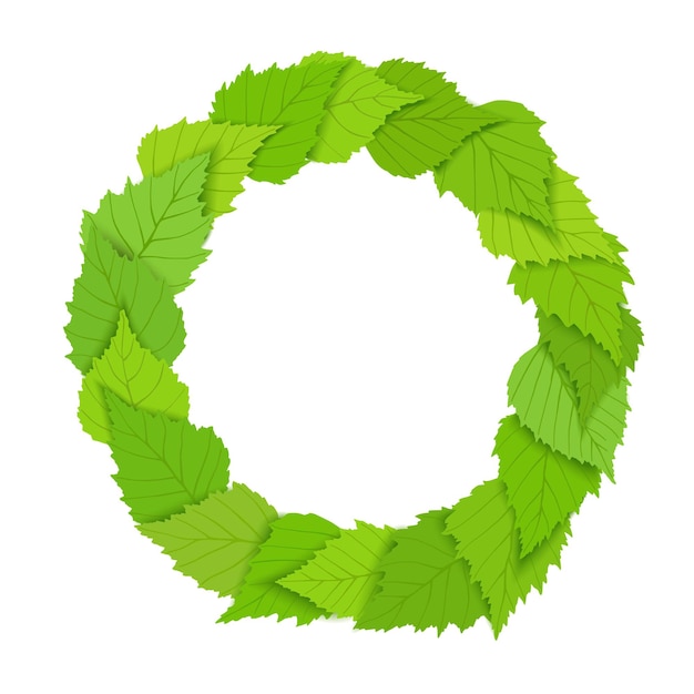 Ilustración de vector de hojas de abedul de fondo de primavera