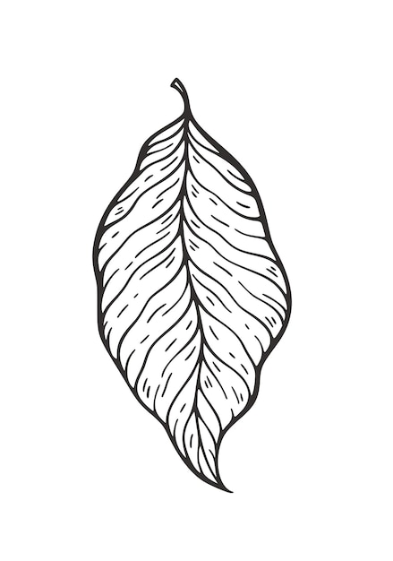 Ilustración de vector de hojas caídas colección de hojas de otoño de contorno negro gráfico decorativo