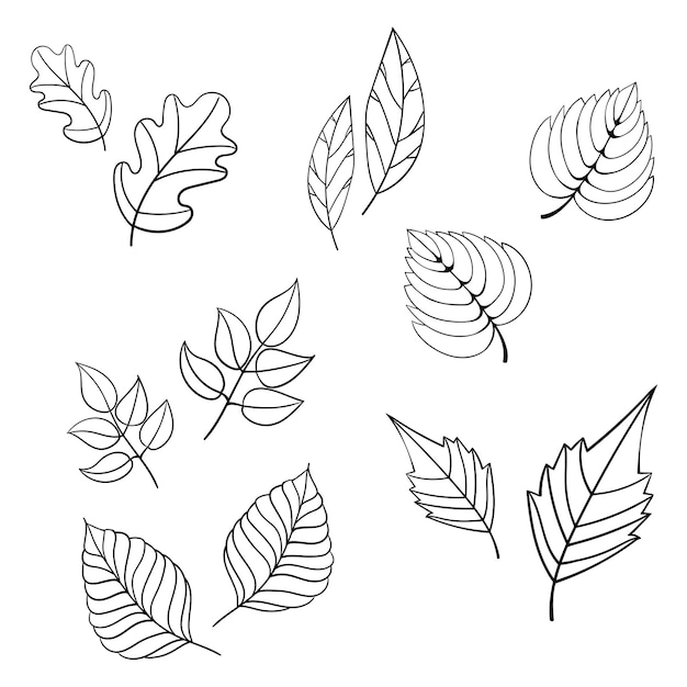 Ilustración de vector de hojas negras