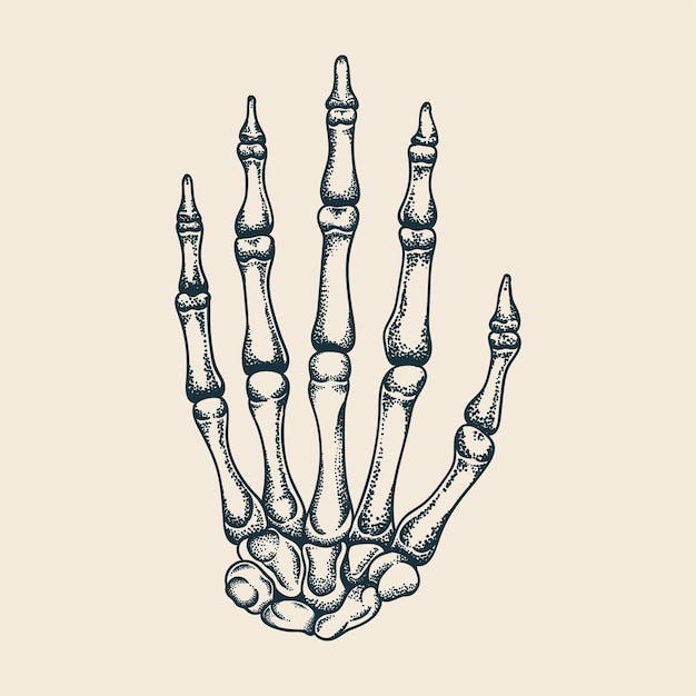 Ilustración de vector de huesos de mano