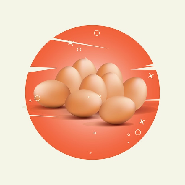 Ilustración de vector de huevos de pollo