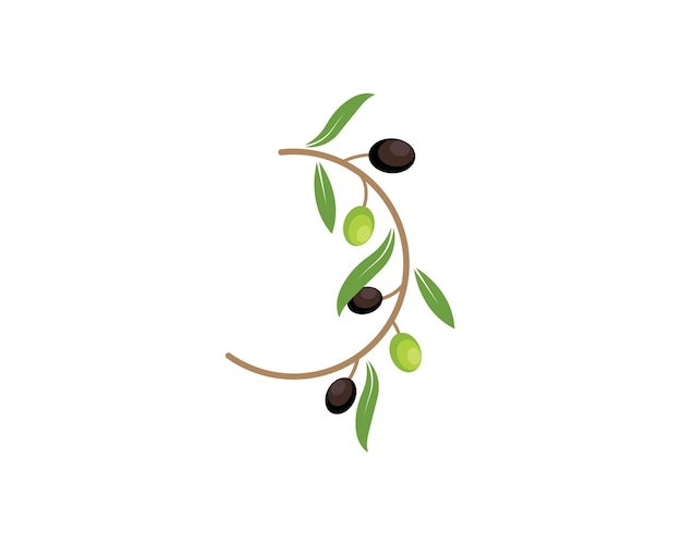 Ilustración de vector de icono de logotipo de oliva