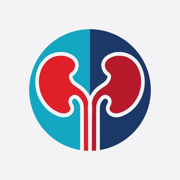 Ilustración de vector de icono de riñón