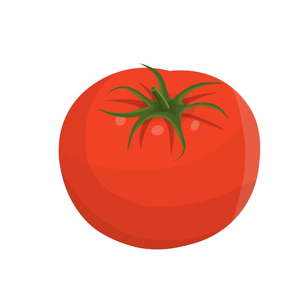 La ilustración de vector de icono vegetal de tomate