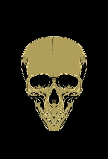 Ilustración de vector de ilustraciones de cráneo de cabeza