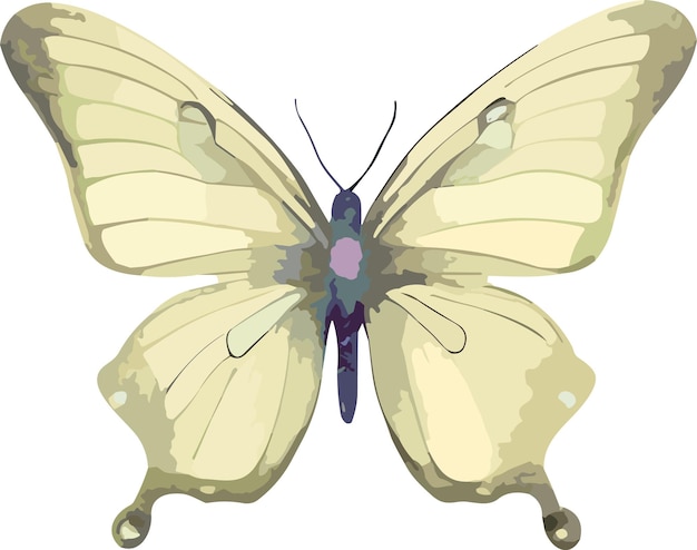 Ilustración de vector de imágenes prediseñadas de mariposa acuarela aislada sobre fondo blanco