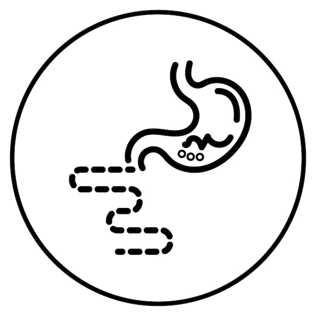 Ilustración del vector del intestino grueso
