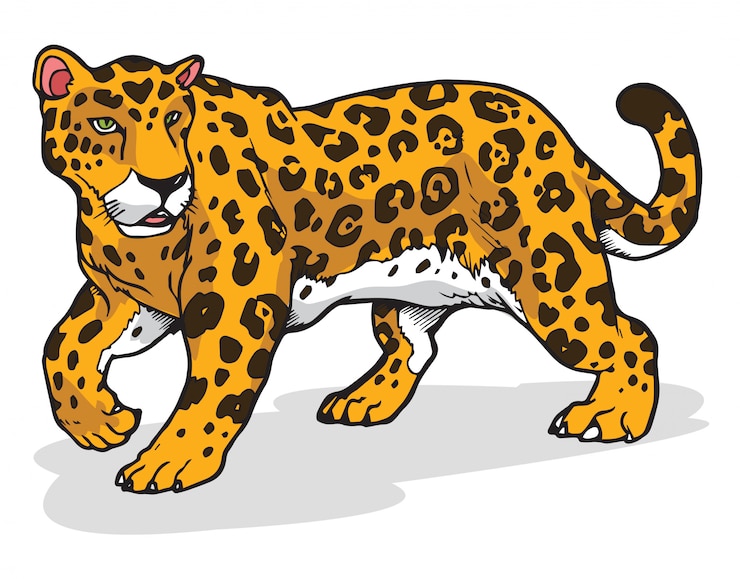 Ilustración de vector de jaguar
