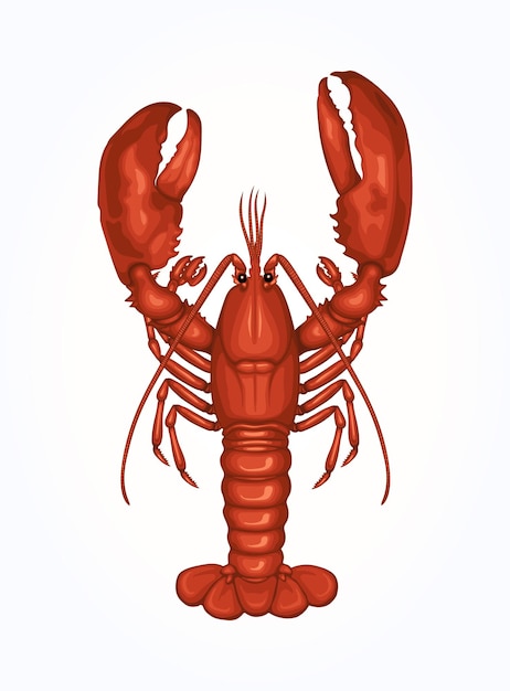 Ilustración de vector de langosta camarones mariscos