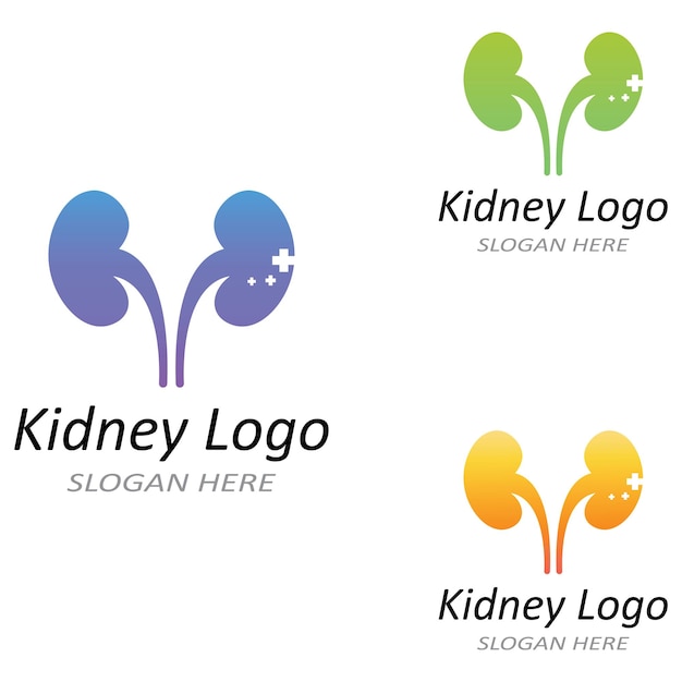 Ilustración de vector de logotipo de riñón