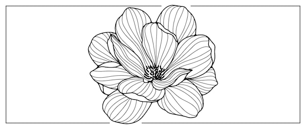Ilustración de vector de loto blanco y negro para decoración cubre presentaciones de fondos y libros para colorear