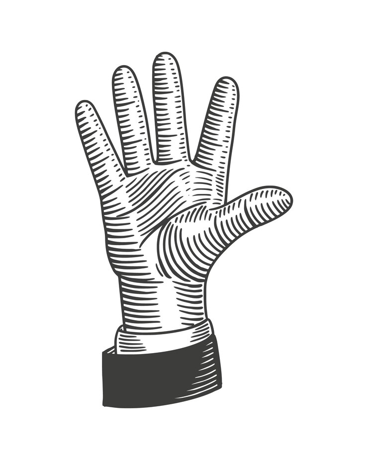 Vector ilustración de vector de mano de conteo. palma abierta que muestra el número cinco en el vector de grabado vintage