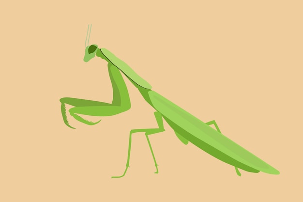 Vector ilustración de vector de mantis