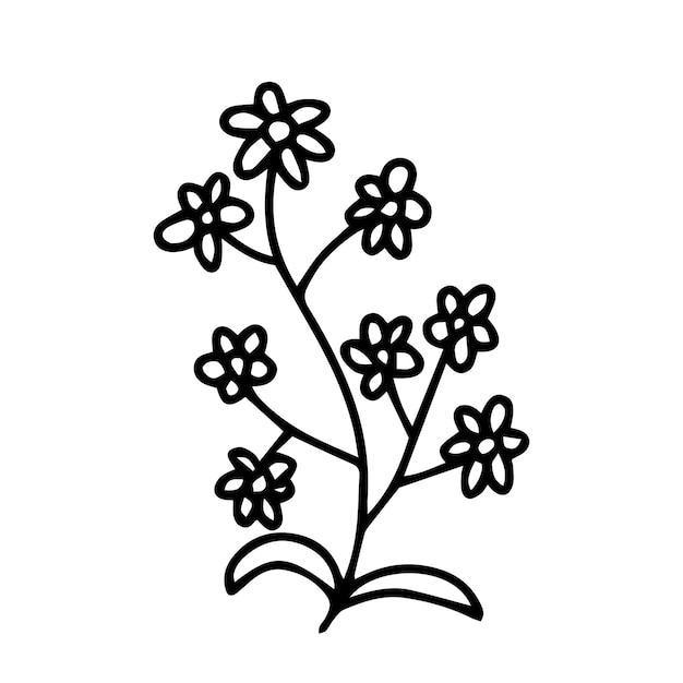 Ilustración de vector de manzanilla de garabato Bosquejo de manzanilla silvestre dibujado a mano