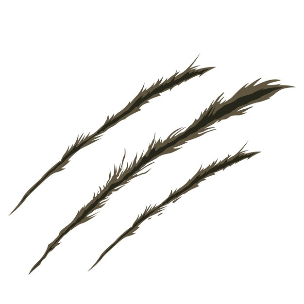 Ilustración de vector de marca de rasguño