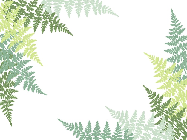 Vector ilustración de vector de marco de hojas tropicales de fronda de helecho decoración de hojas de plantas de bush sobre fondo blanco