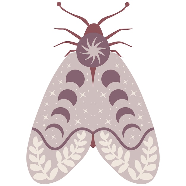 Ilustración de vector de mariposa celestial. polilla luna mística con fases lunares. insecto floral mágico