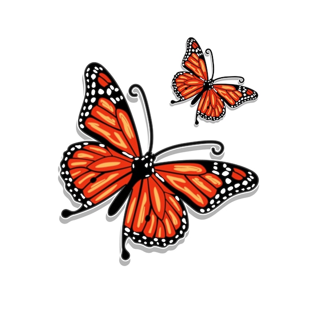 Ilustración de vector de mariposa a todo color