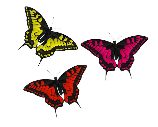 Ilustración de vector de mariposa