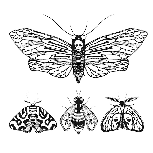 Ilustración de vector con mariposas ornamentales místicas aisladas en blanco polilla de la cabeza de la muerte