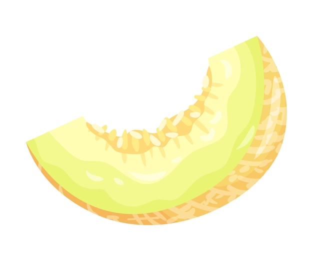 Ilustración de vector de melón cuarto sobre fondo blanco