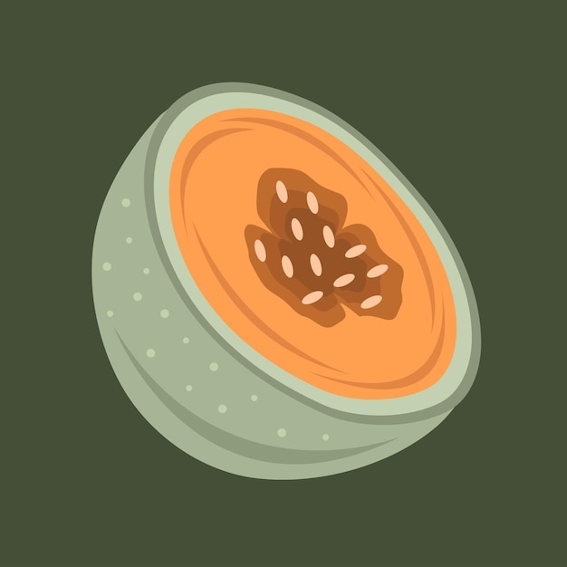 Vector ilustración de vector de melón